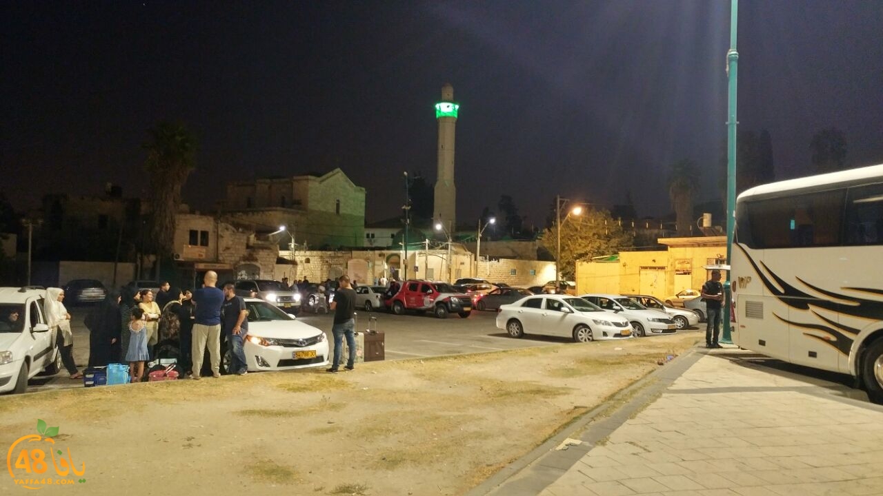 7ojaj ludi 3 (6).jpg